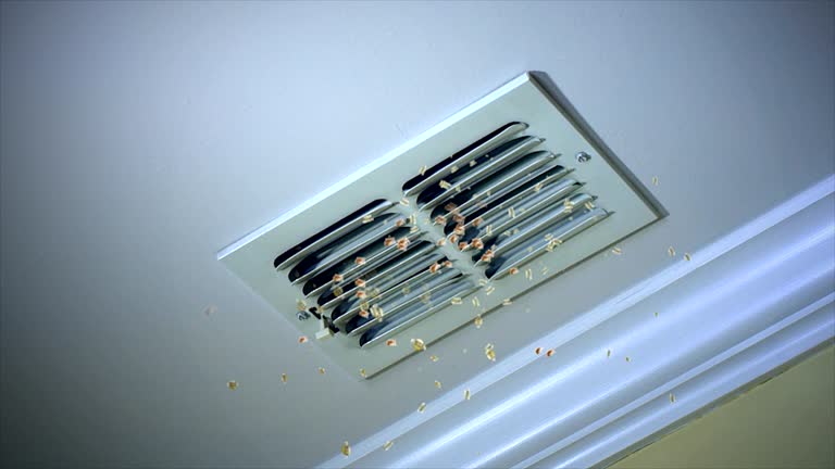 Best Residential Air Duct Cleaning  in Smith Mills, MA